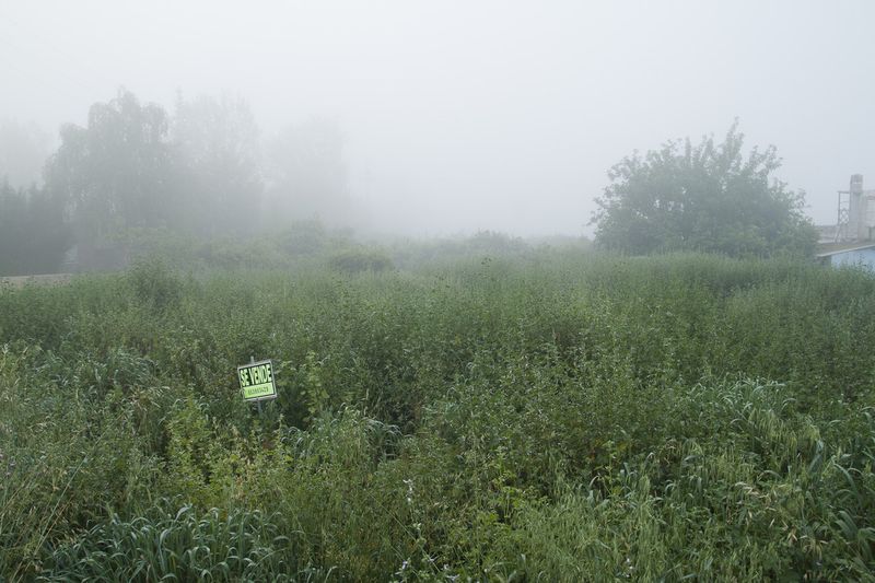 © Julián Garnés García - Image from the Europe´s Vegetable Garden photography project