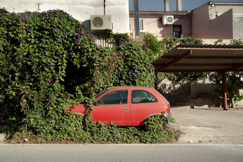 © Julián Garnés García - Image from the Europe´s Vegetable Garden photography project