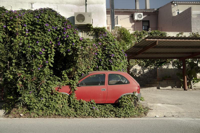 © Julián Garnés García - Image from the Europe´s Vegetable Garden photography project