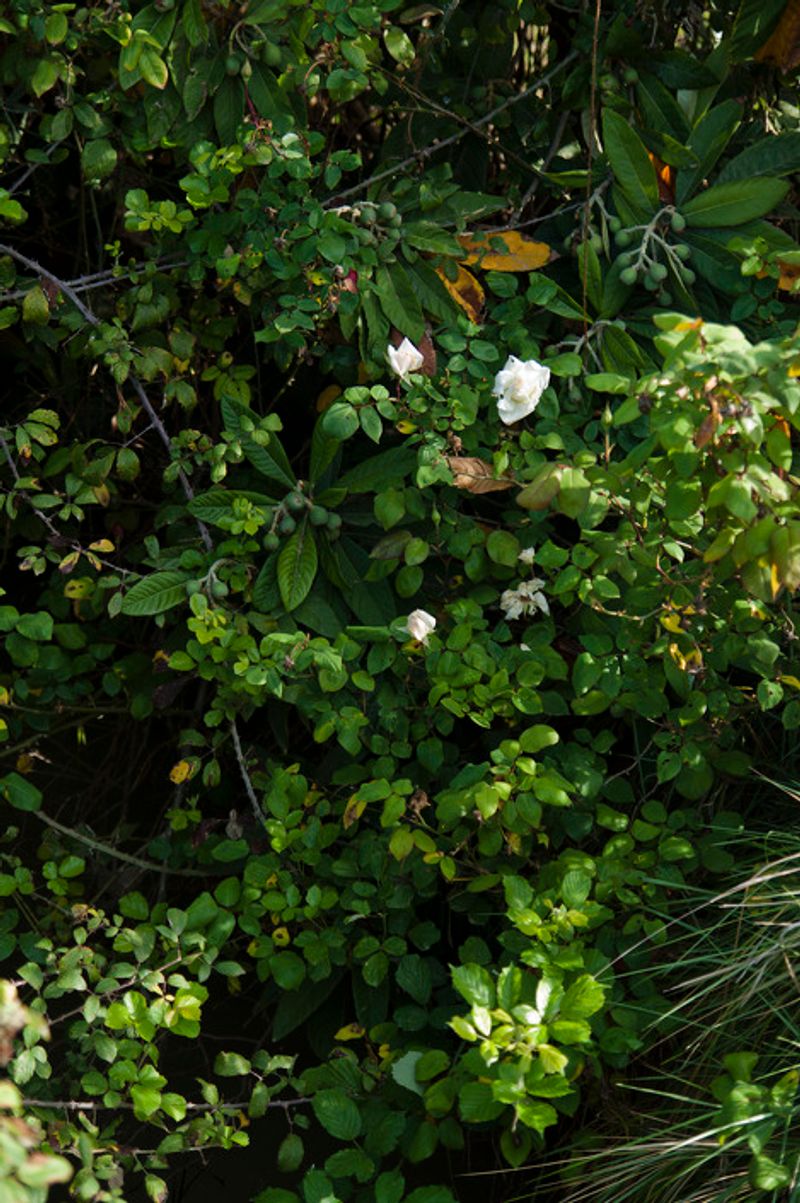 © Julián Garnés García - Image from the Europe´s Vegetable Garden photography project