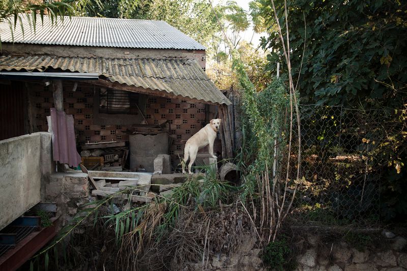 © Julián Garnés García - Image from the Europe´s Vegetable Garden photography project