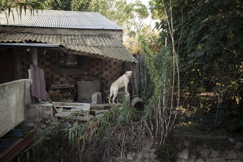 © Julián Garnés García - Image from the Europe´s Vegetable Garden photography project