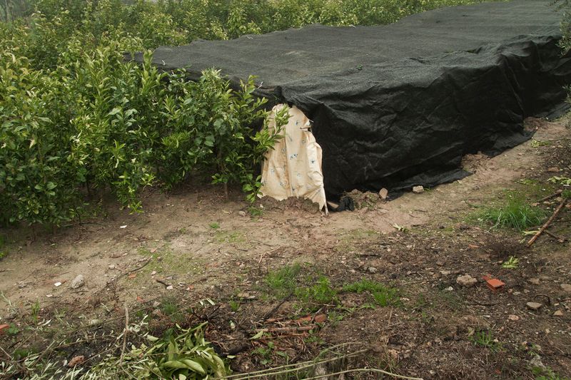 © Julián Garnés García - Image from the Europe´s Vegetable Garden photography project