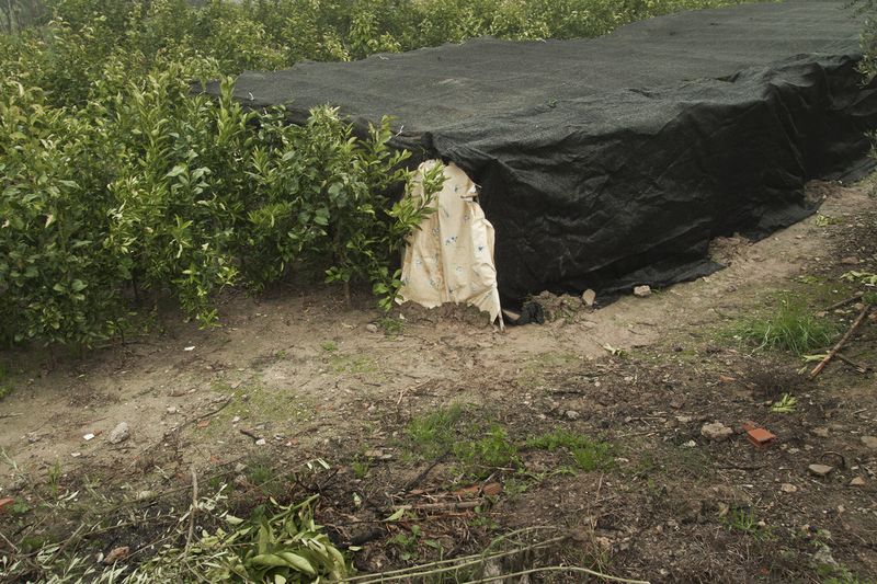 © Julián Garnés García - Image from the Europe´s Vegetable Garden photography project