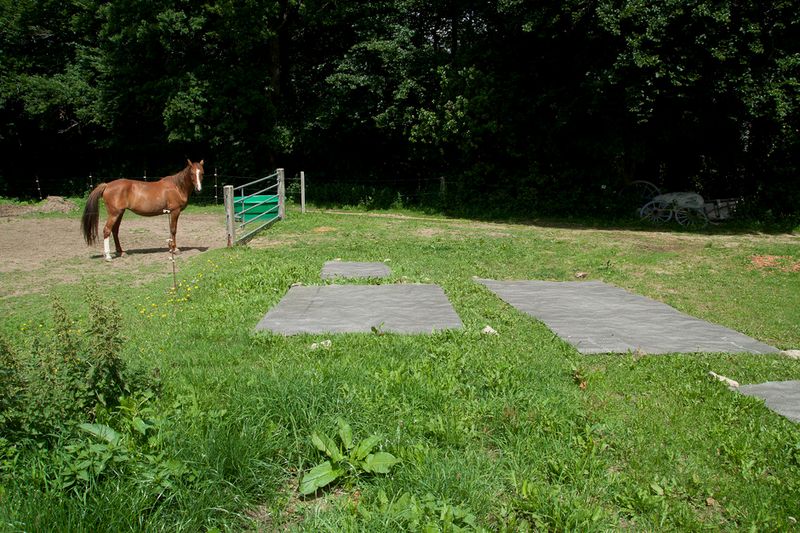 © Julián Garnés García - Image from the Food On Tour photography project
