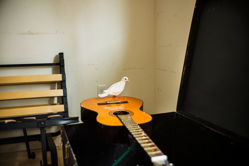 © Jaime Permuth - Home