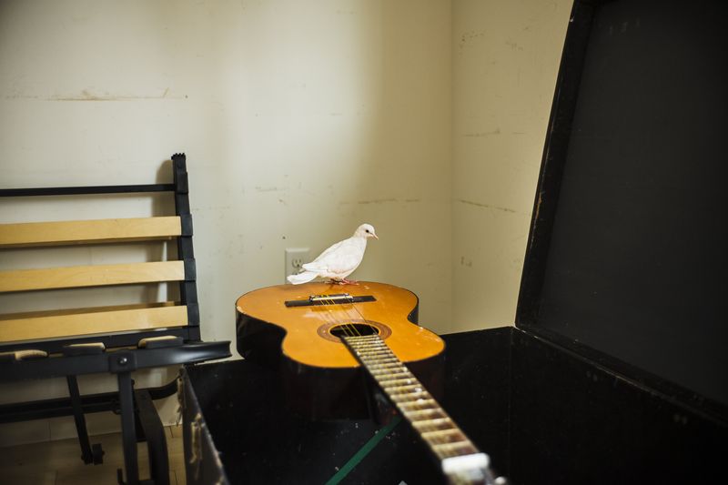 © Jaime Permuth - Home