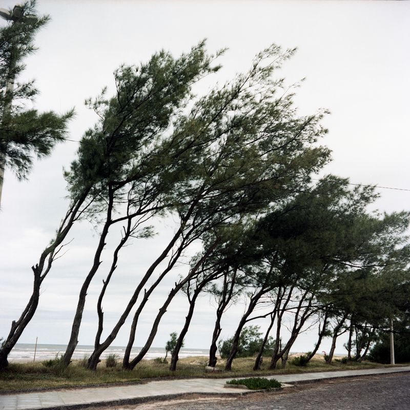 © Marco Antonio Filho - Image from the It's not summer anymore photography project