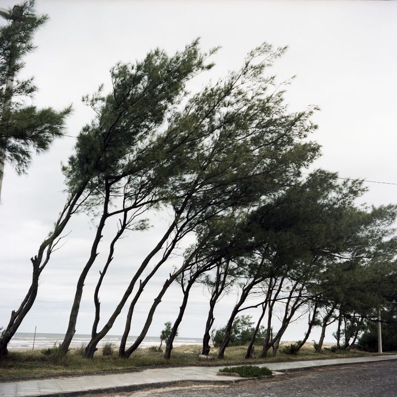 © Marco Antonio Filho - Image from the It's not summer anymore photography project