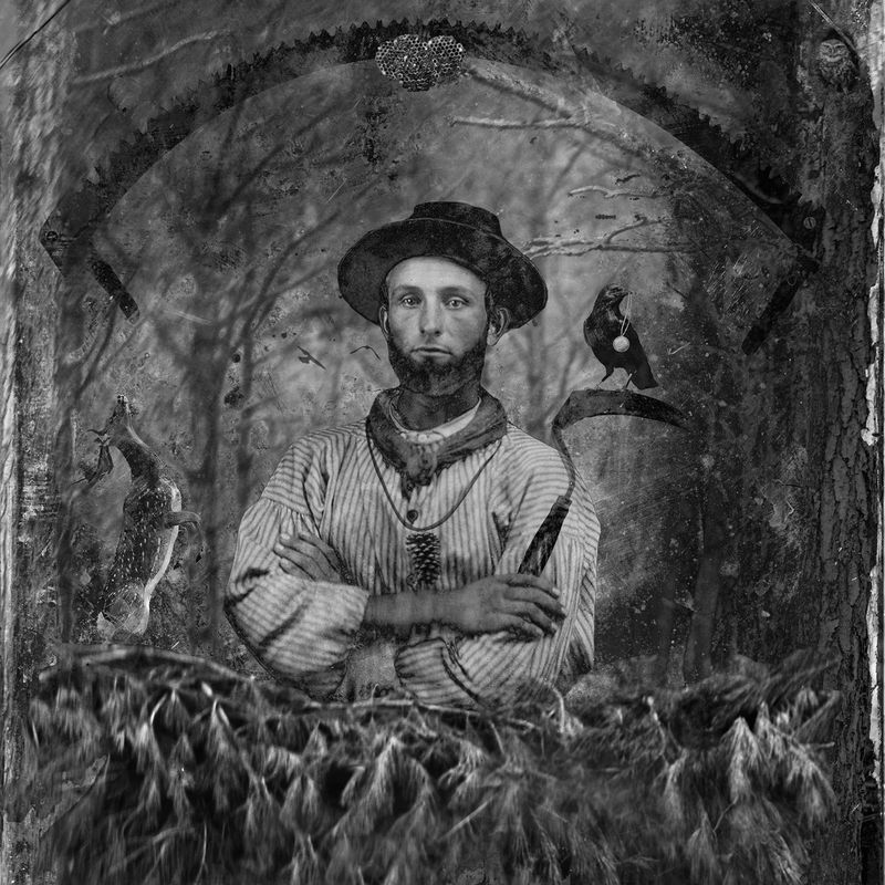 © David Knox - Long Leaf