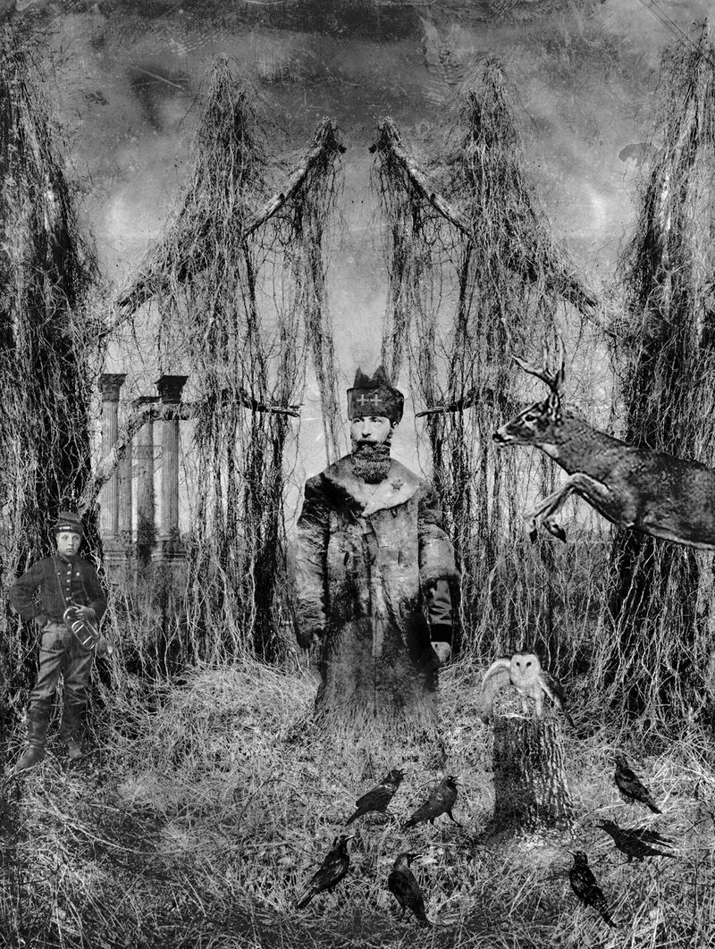 © David Knox - The Rookery