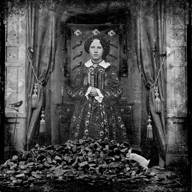 © David Knox - Dogwood