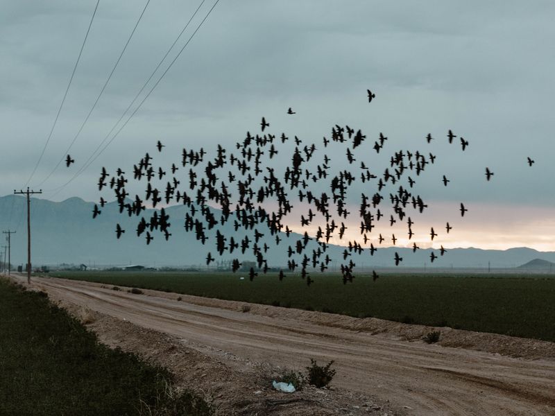 © Anneke D'Hollander - Image from the Dell City photography project