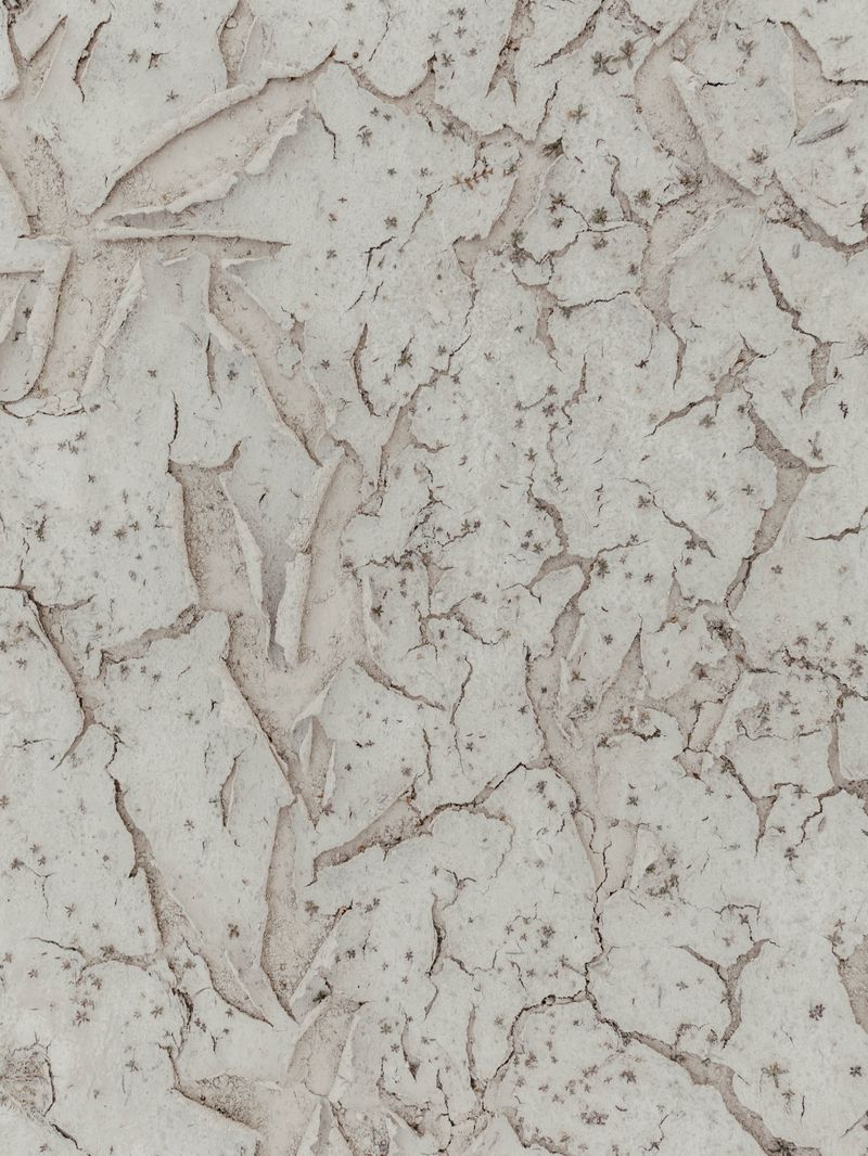 © Anneke D'Hollander - Image from the Dell City photography project