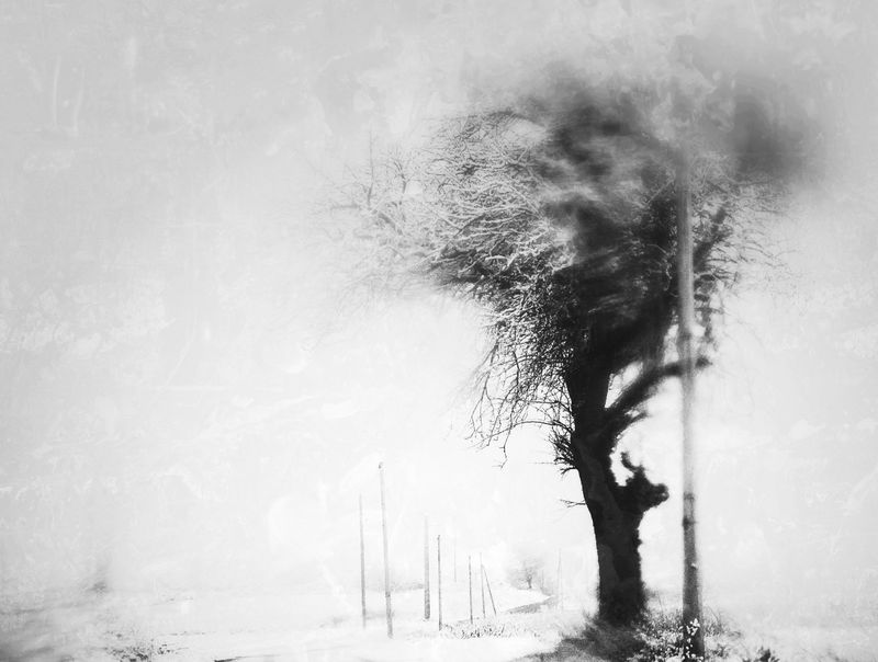 © Delphine MARGAU - Image from the At Open Tomb photography project