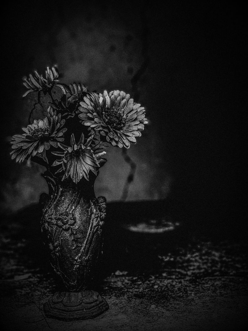 © Delphine MARGAU - Image from the At Open Tomb photography project