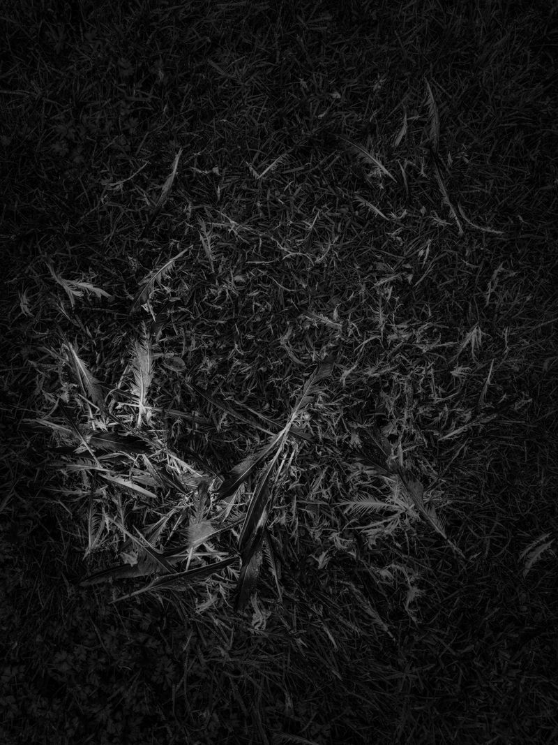 © Delphine MARGAU - Image from the Consent to the Night... photography project