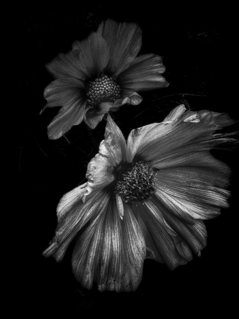 © Delphine MARGAU - Image from the Consent to the Night... photography project