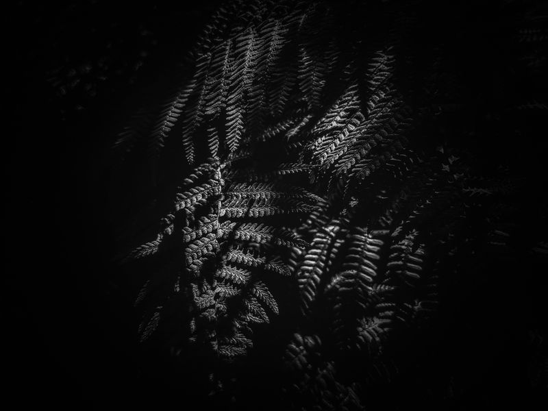 © Delphine MARGAU - Image from the Consent to the Night... photography project