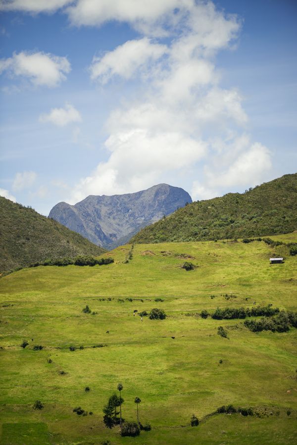 © iLa Coronel - Image from the El carnaval de SIGSIG photography project