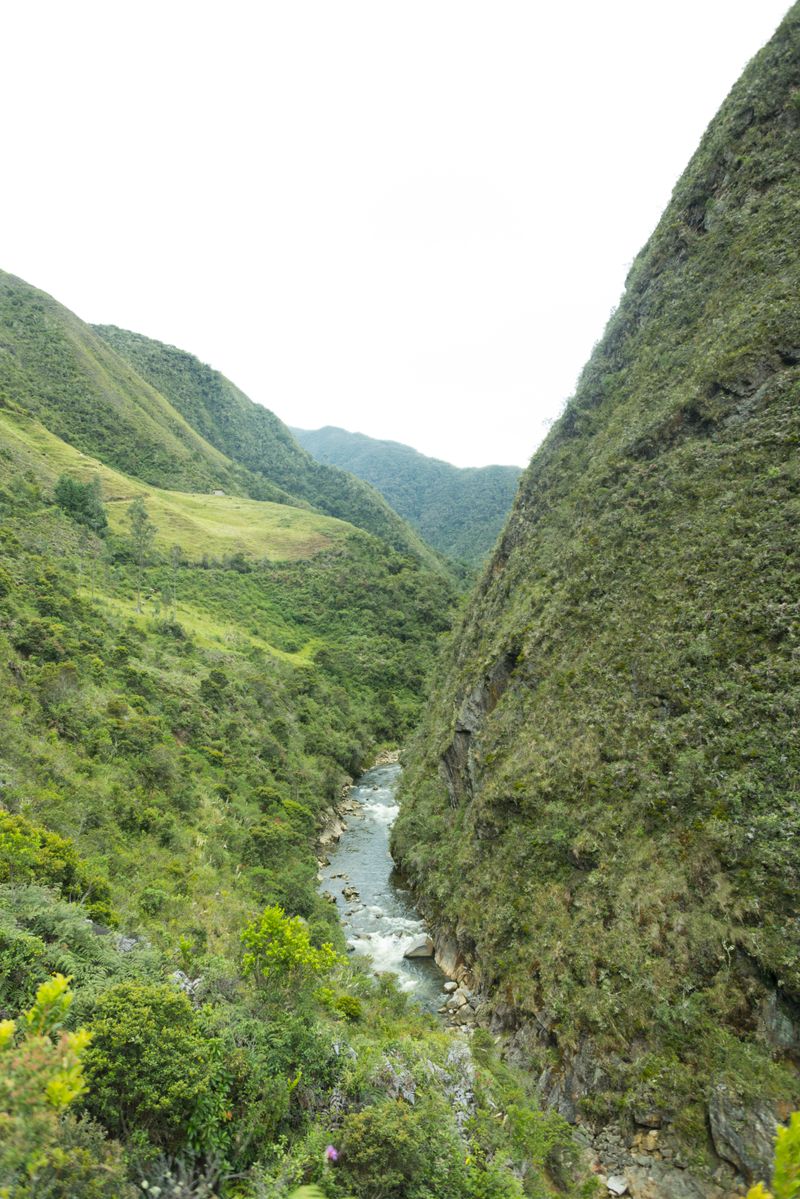 © iLa Coronel - Image from the El carnaval de SIGSIG photography project