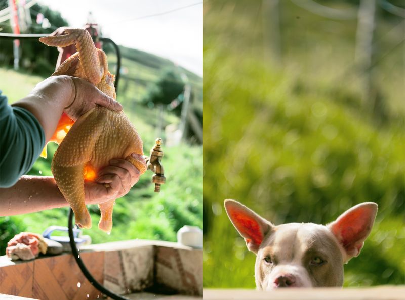 © iLa Coronel - Image from the Diary of a pandemic (sarar community) photography project