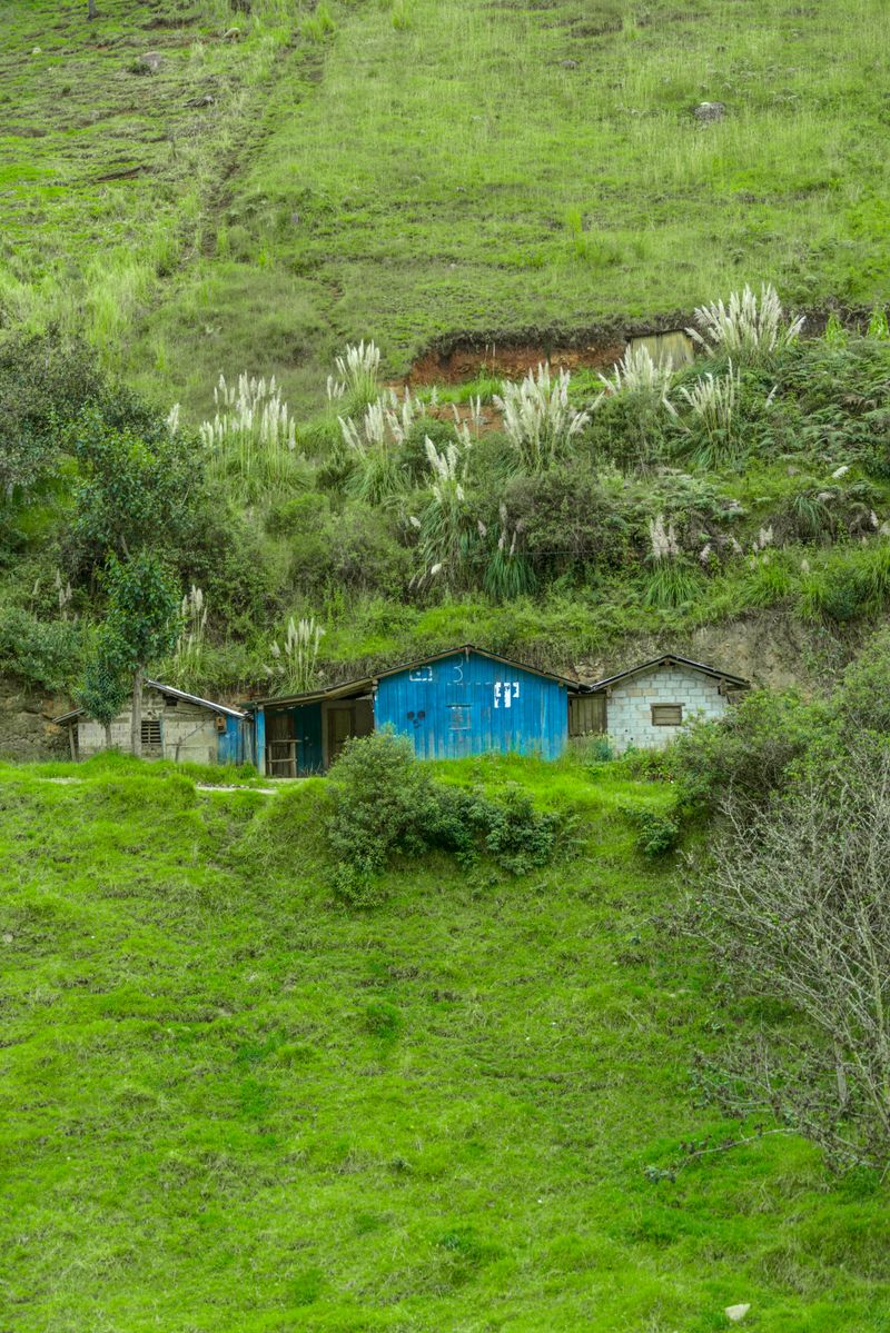 © iLa Coronel - Image from the Diary of a pandemic (sarar community) photography project