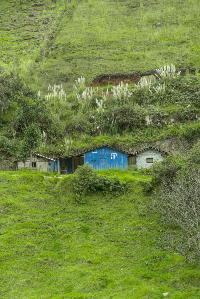 © iLa Coronel - Image from the Diary of a pandemic (sarar community) photography project