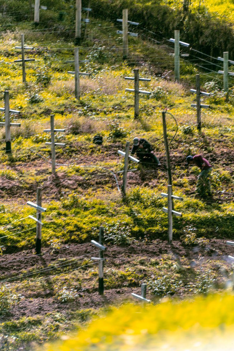 © iLa Coronel - Image from the Diary of a pandemic (sarar community) photography project