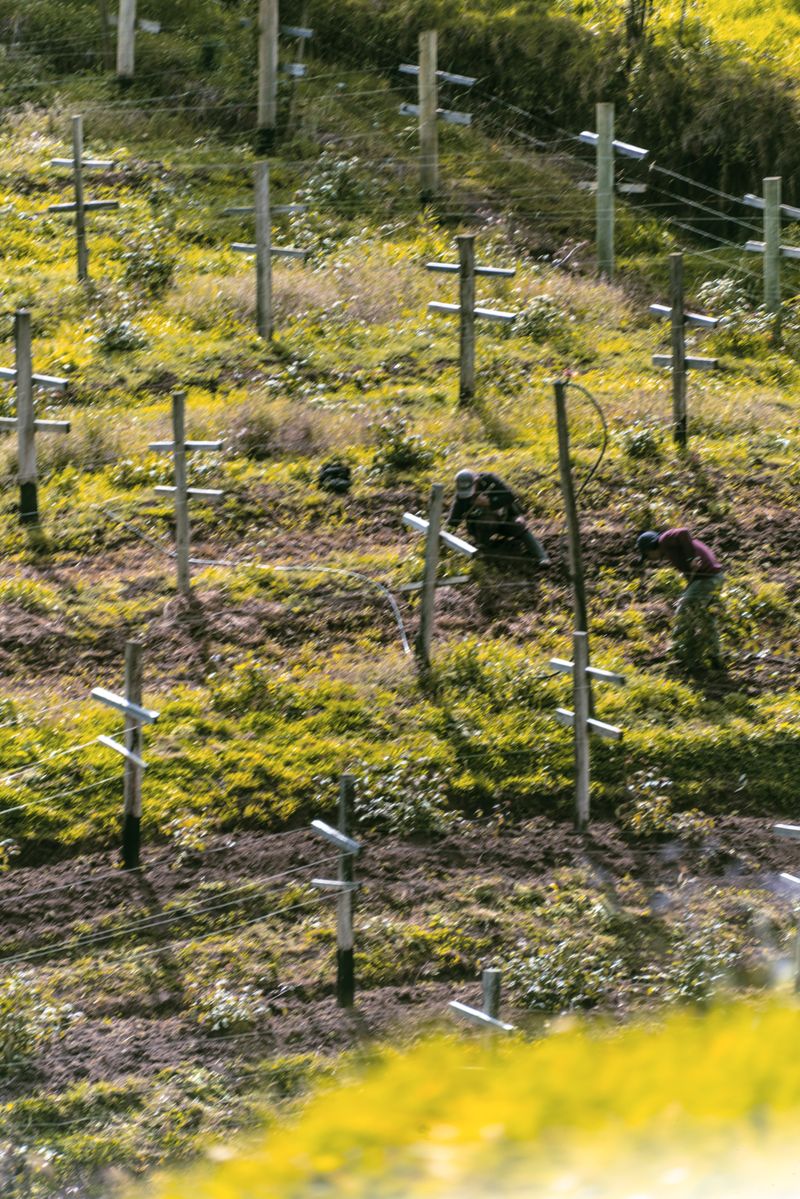 © iLa Coronel - Image from the Diary of a pandemic (sarar community) photography project