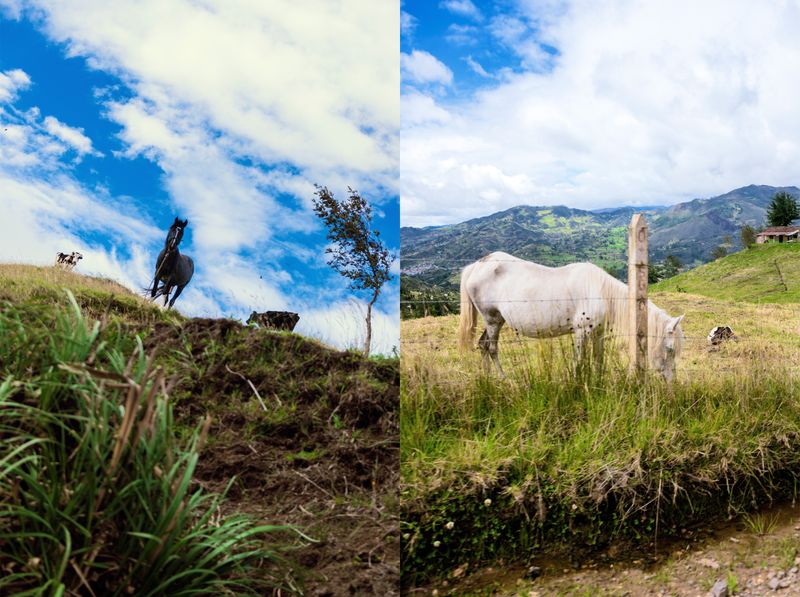 © iLa Coronel - Image from the Diary of a pandemic (sarar community) photography project