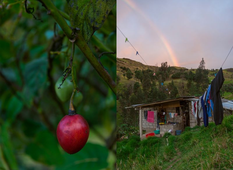 © iLa Coronel - Image from the Diary of a pandemic (sarar community) photography project