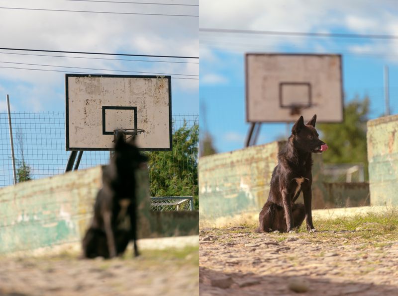 © iLa Coronel - Image from the Diary of a pandemic (sarar community) photography project