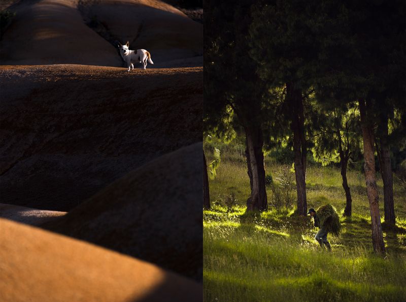 © iLa Coronel - Image from the Diary of a pandemic (sarar community) photography project