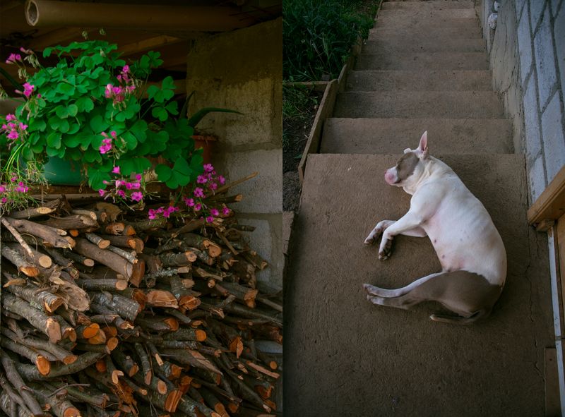 © iLa Coronel - Image from the Diary of a pandemic (sarar community) photography project