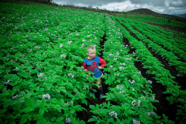 © iLa Coronel - Image from the Sarar´s Sucos photography project