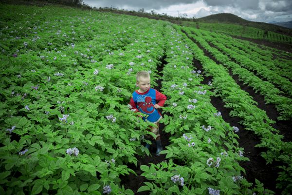 © iLa Coronel - Image from the Sarar´s Sucos photography project