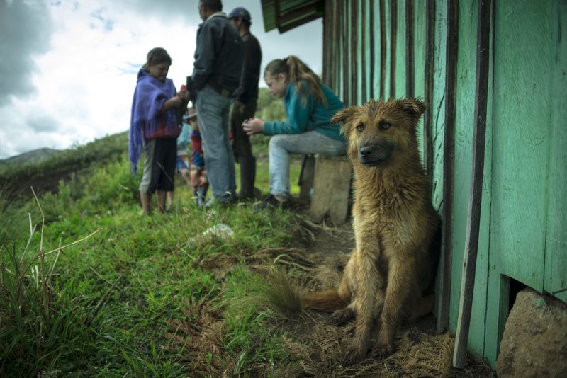 © iLa Coronel - Image from the Sarar´s Sucos photography project