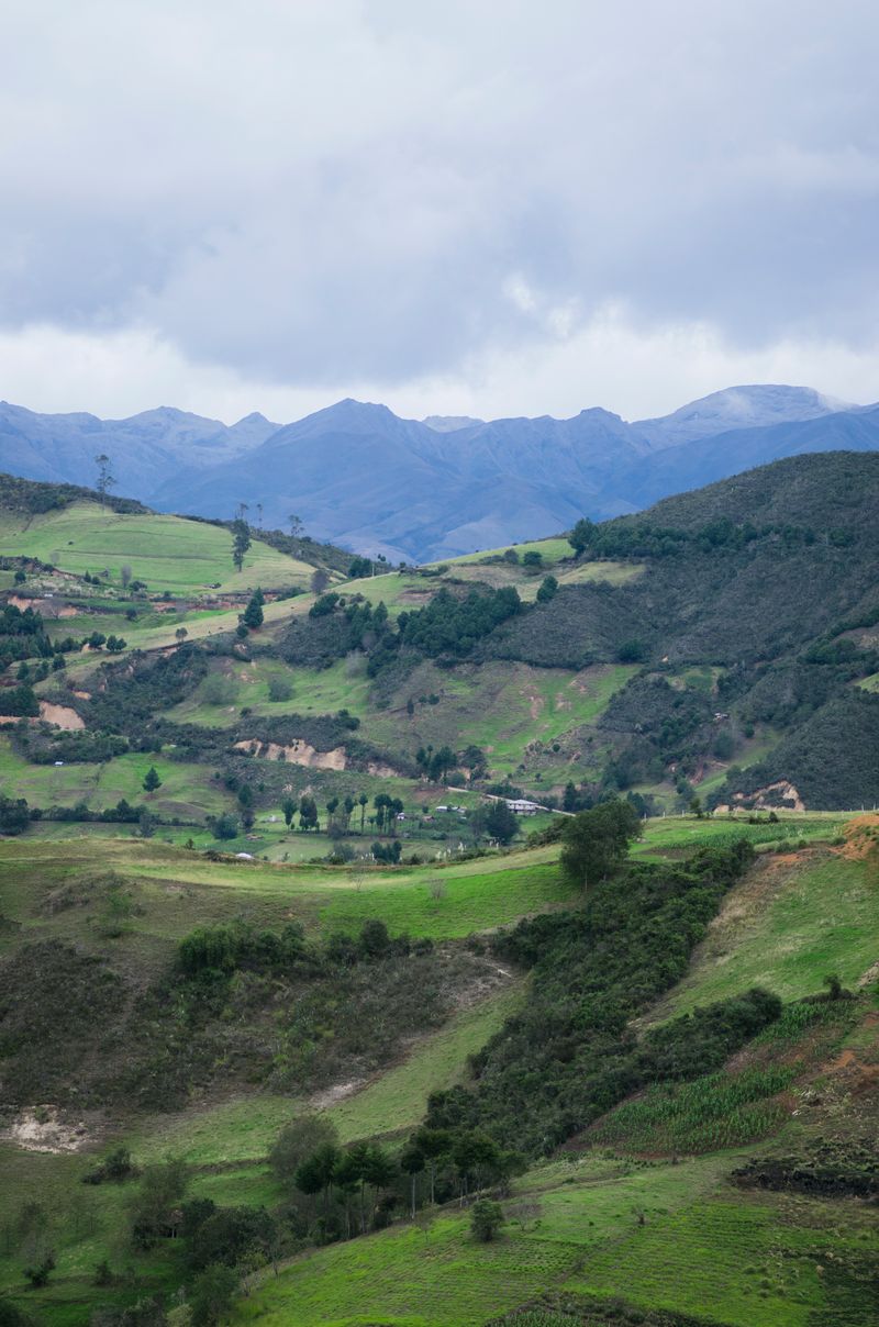 © iLa Coronel - Image from the Sarar´s Sucos photography project