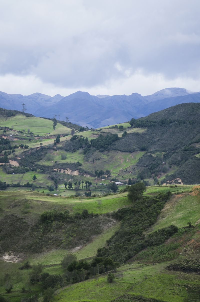 © iLa Coronel - Image from the Sarar´s Sucos photography project