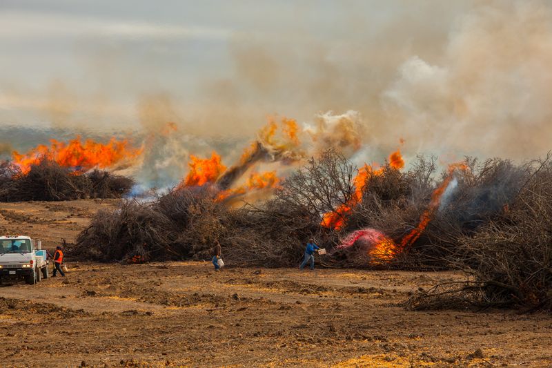 © Richard Street - Image from the Knife Fight City and the Kingdom of Dust photography project