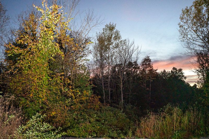 © Ruth Kaplan - Roxham Road border site, Canadian side.
