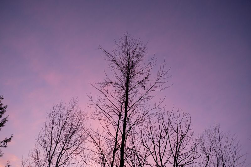 © Ruth Kaplan - Image from the The Theater of Roxham Road photography project