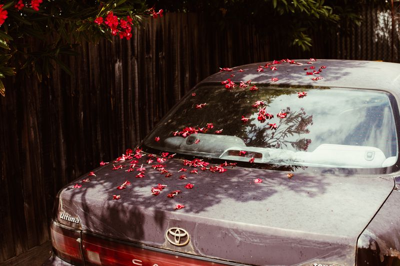 © Ryley Clarke - Image from the Dark Signs of a Red Summer's Shadow photography project