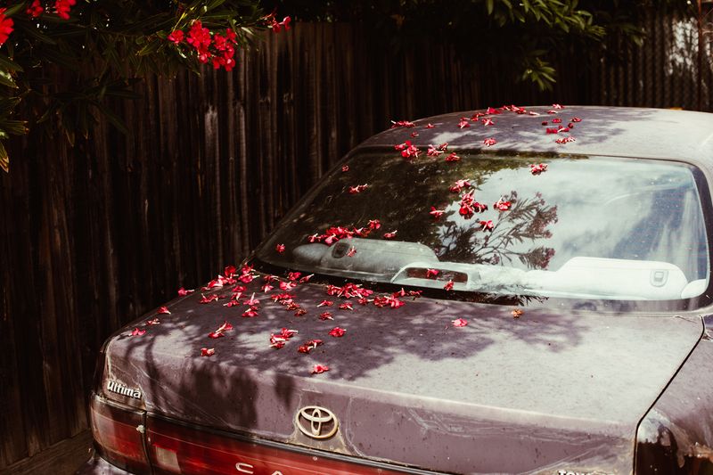 © Ryley Clarke - Image from the TOMORROW photography project