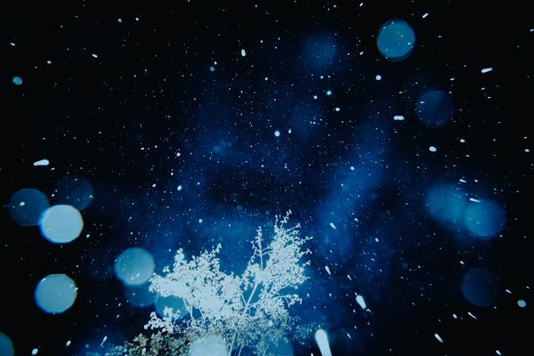 © Ryley Clarke - Rain falling at night with a tree in the foreground and bokeh-style light effects.