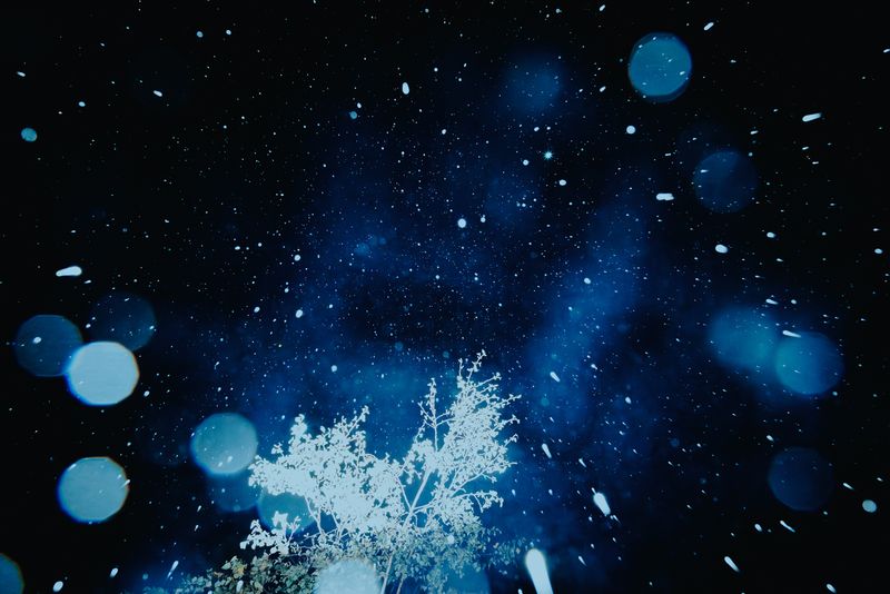 © Ryley Clarke - Rain falling at night with a tree in the foreground and bokeh-style light effects.