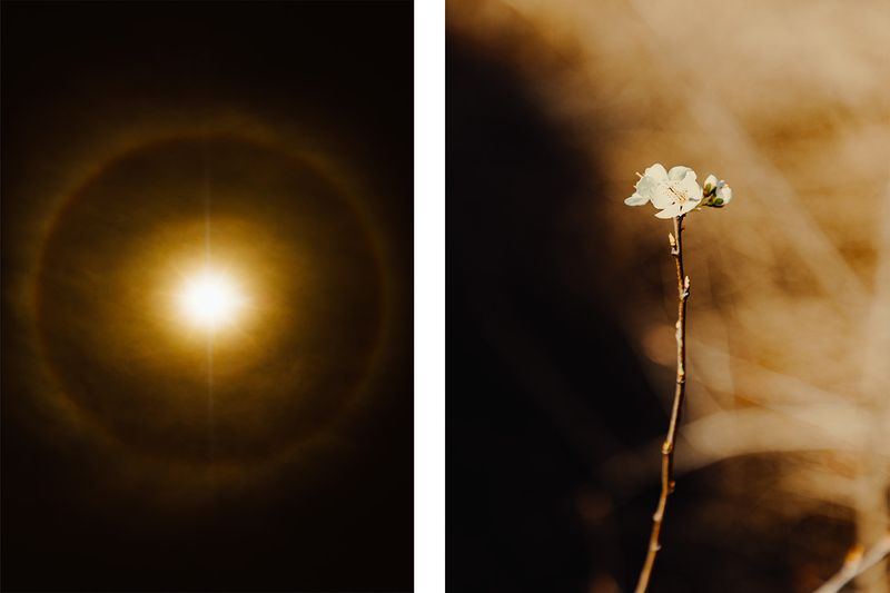 © Ryley Clarke - Image from the TOMORROW photography project