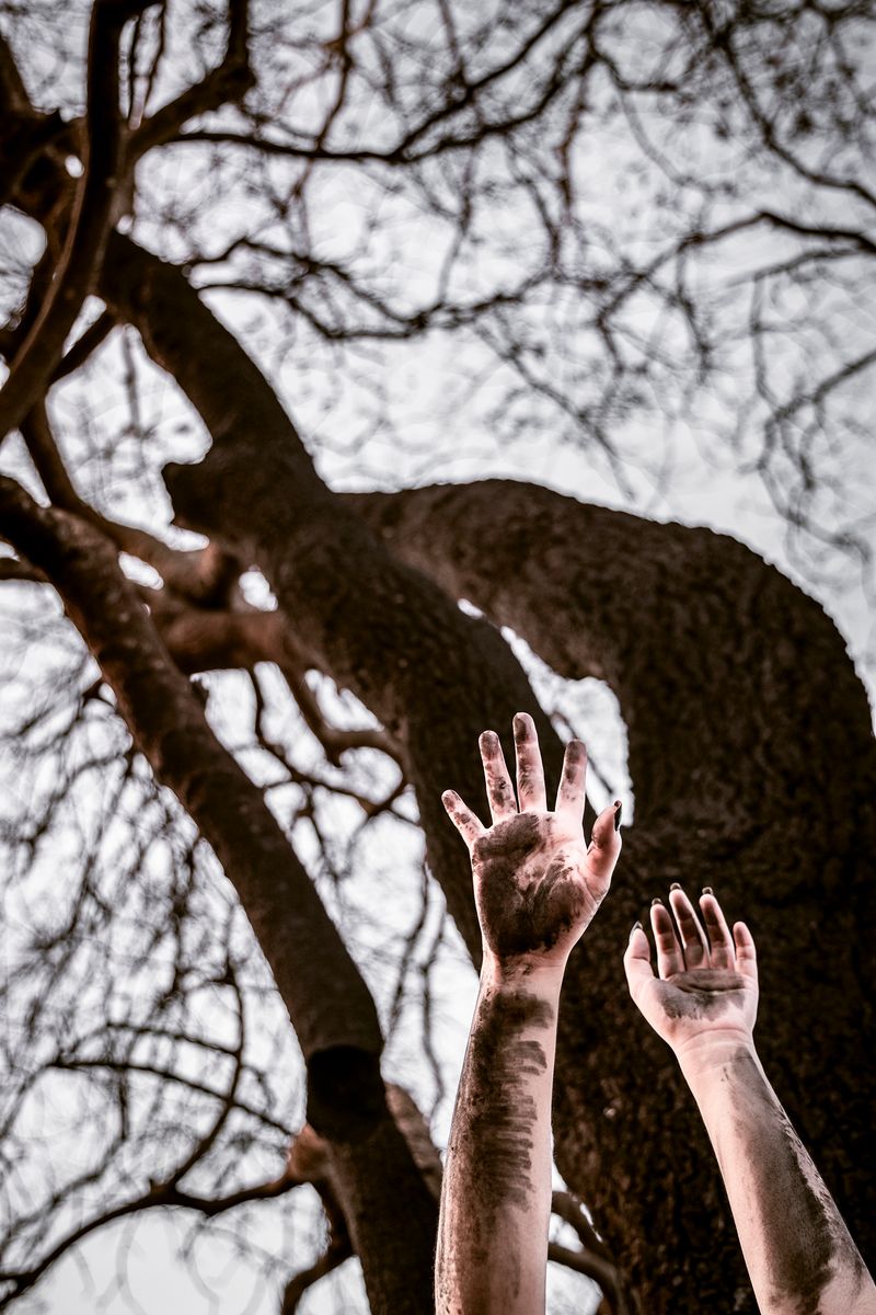 © Priscila Beal - Image from the Destruction photography project