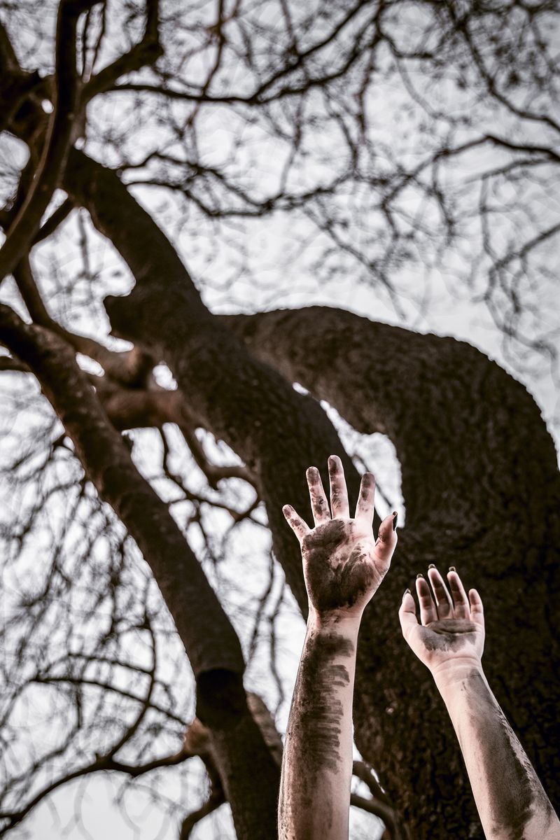 © Priscila Beal - Image from the Destruction photography project